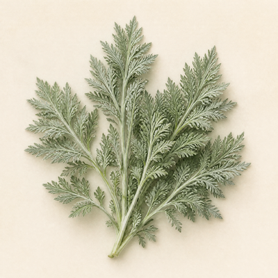 Wormwood